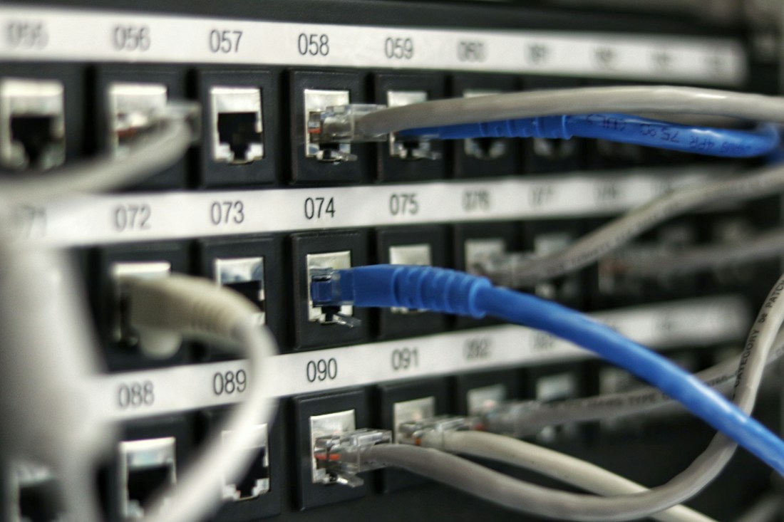 Ethernet cables connected to network equipment